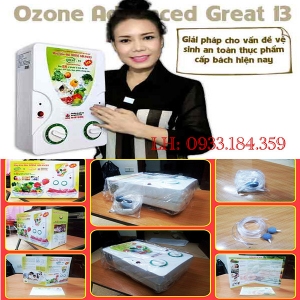 Máy khử độc thực phẩm Ozone Advanced Great-13 có 2 vòi