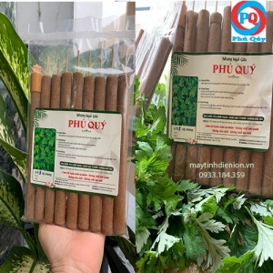 Combo 10 bịch nhang ngải cứu nguyên chất hơ huyệt...