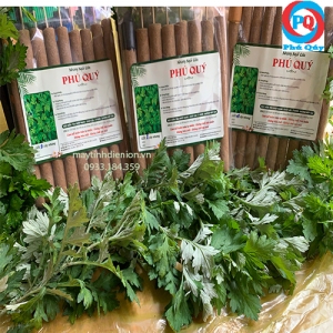 Nhang ngải cứu nguyên chất Phú Quý 9 cây - Loại Trung