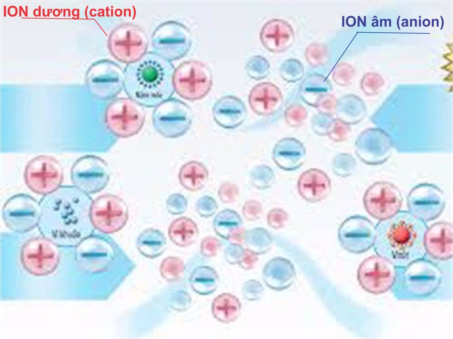 Phan chan nho ion am 1