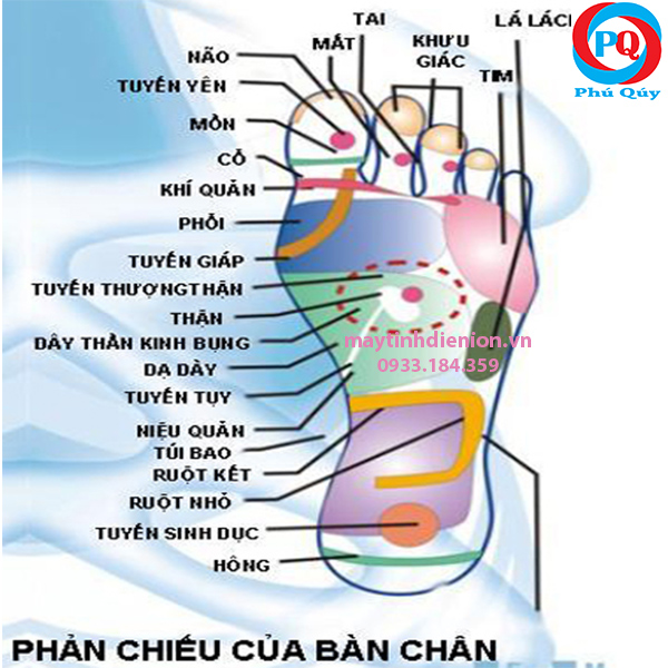 huyệt đạo khi dùng đôi dép điện xung máy tĩnh điện ion z755