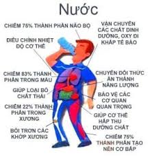 nuoc quan trong voi co the nhu the nao